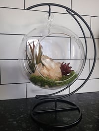 Image 2 of Glass Globe Terrarium Set With Natural Quartz Crystal & Moon Stand - Everything Included 
