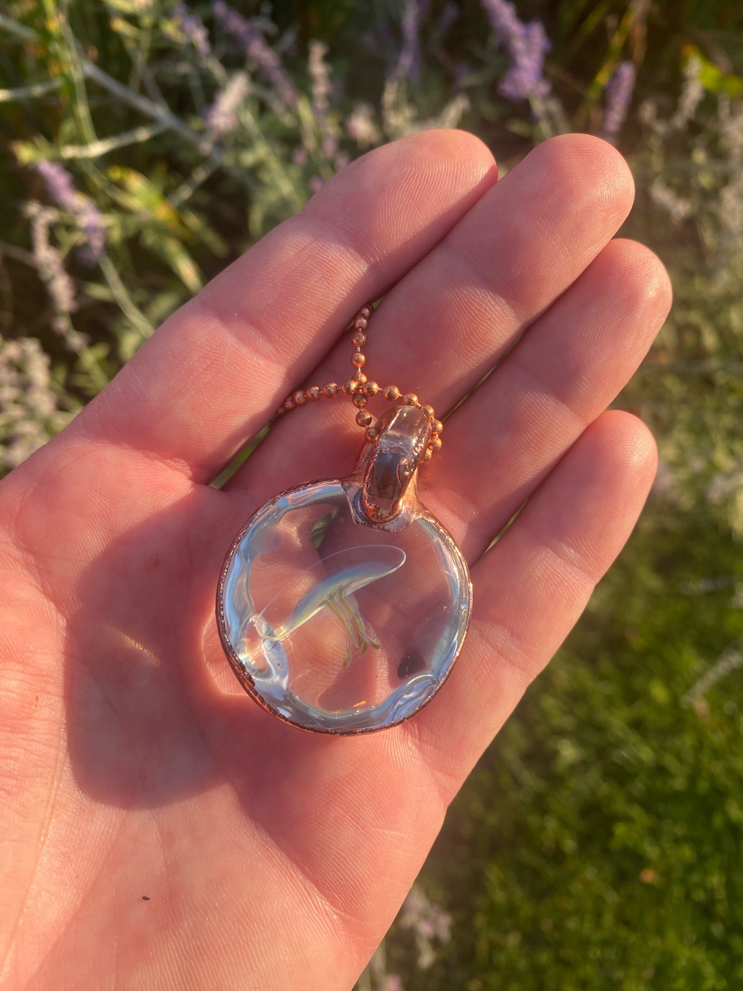 Image of Looking glass porthole jelly