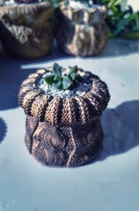 Image 1 of TeraPullover small  (με παχύφυτο)