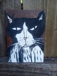 Image 9 of Tuxedo Cat 