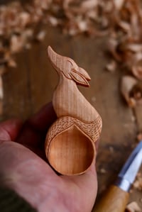 Image 3 of Fox Scoop 