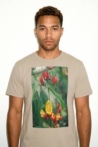 Image 1 of organic cotton t-shirt