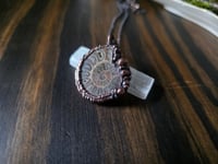 Image 1 of Ammonite #2