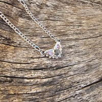 Image 3 of Diamond Angelica