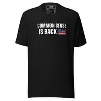 Image 2 of COMMON SENSE IS BACK American Flag Image/Unisex Black Tee