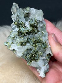 Image 3 of Epidote On Quartz Crystal Specimen #2102