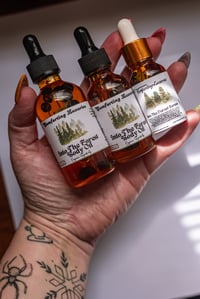 Image 1 of Into The Forest Body Oil