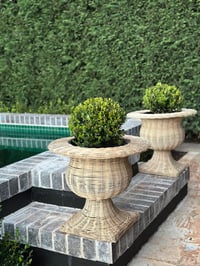 Image 4 of Wicker Urn 