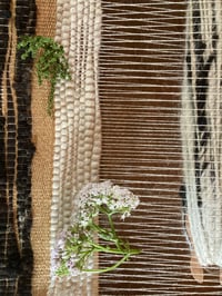 Image 2 of Weaving ourselves Wild 