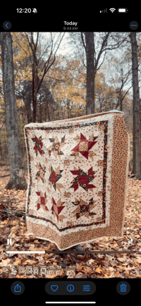 Image 6 of Mushroom Quilt
