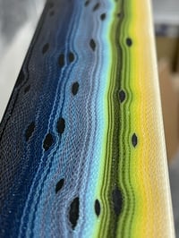 Image 6 of Steelhead by Mikie