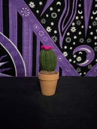 Image 2 of Cactus Amigurumi 