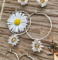 Image 1 of Moonstone Daisy Hoops