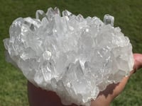 Image 3 of Clear Quartz Points Cluster #1787