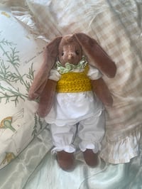 Image 2 of Paprika the Rabbit plush