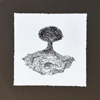 Image 1 of Tree of Life