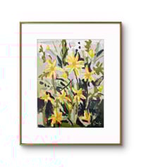 Image 3 of Dandy at Longwood