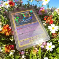 basictrafficbro collector card