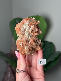 Image 2 of MULTICOLORED ARAGONITE DISCOBALLS