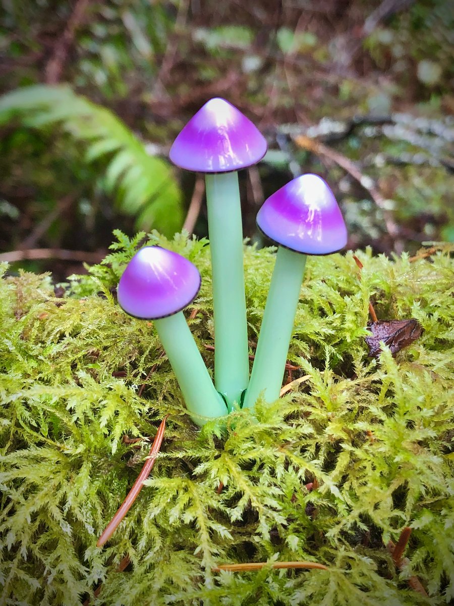Image of Purple & Green 3 Mushroom Plant Spike