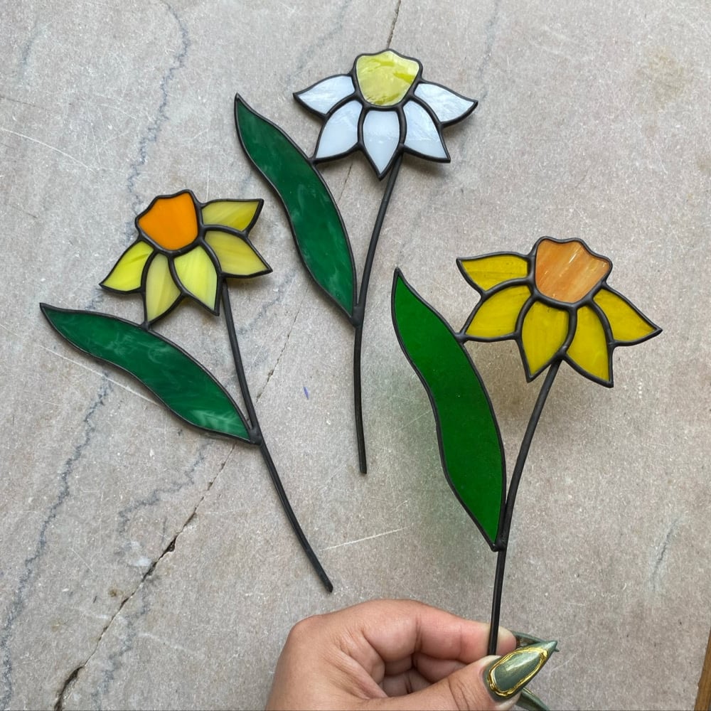 Image of Daffodil Plant Stakes