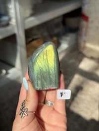 Image 6 of CHOOSE YOUR OWN MINI LABRADORITE FREEFORM -MADAGASCAR-
