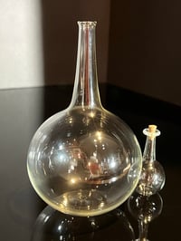 Image 4 of Single Flower Vase and Potion Bottle Set
