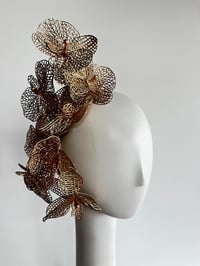 Image 1 of Gold orchids.