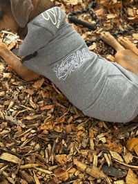Image 3 of Script Logo Dog Hoodie 