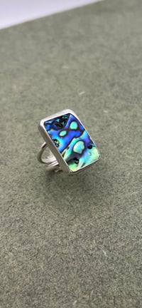 Image 2 of Paua  