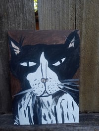 Image 3 of Tuxedo Cat 