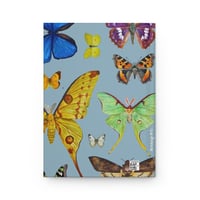 Image 4 of Moths & Butterflies Hardcover Notebook