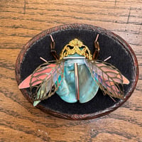 Image 3 of Beetle  (a, 2x2.5 inches) 