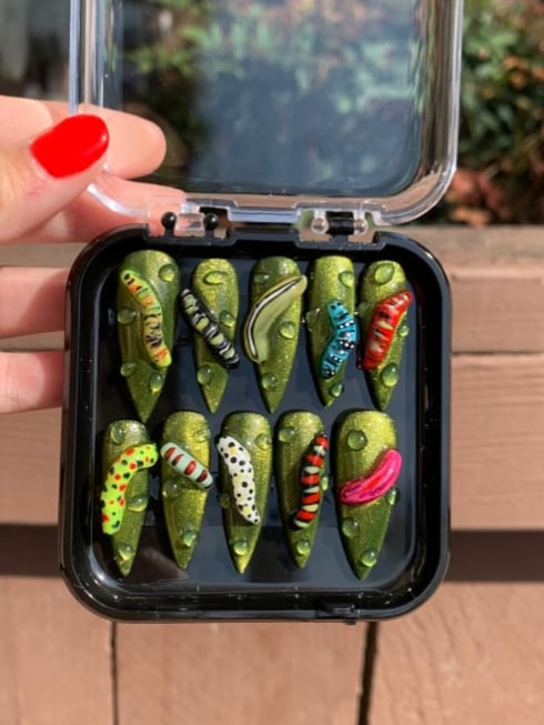 Image of All Kids Of Bugs