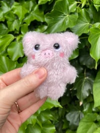 Image 4 of Pip the Mini Fluffy Pig