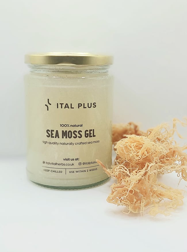 Sea Moss Gel (clear) 