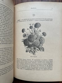 Image 17 of Le jardin d’agrément, L-J.Troncet, édition Larousse, 1908