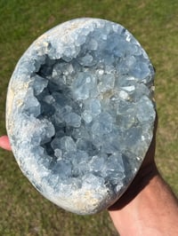 Image 15 of Celestite Cluster #1059