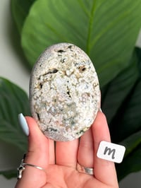 Image 13 of XL CHOOSE YOUR OWN ORBICULAR VEINLESS OCEAN JASPER PALM STONES -MADAGASCAR- 