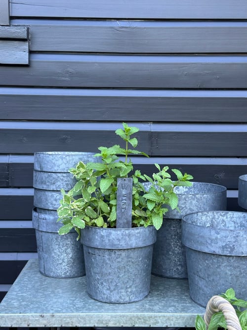 Image of Tinware Pot