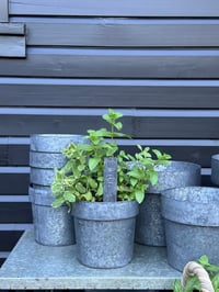 Image 6 of Tinware Pot 