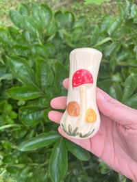 Image 5 of Mushroom Set - Seconds Item