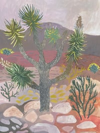 Image 2 of Joshua Tree and Cholla study