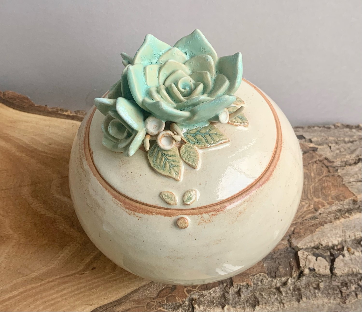 Image of Succulent Pot 