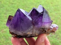 Image 4 of Amethyst Points Cluster | Congo #2869