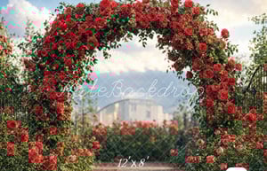 Image of Spring Mini-Session (Valentine's inspired sets)