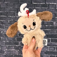 PEANUT- Peppermint Pup