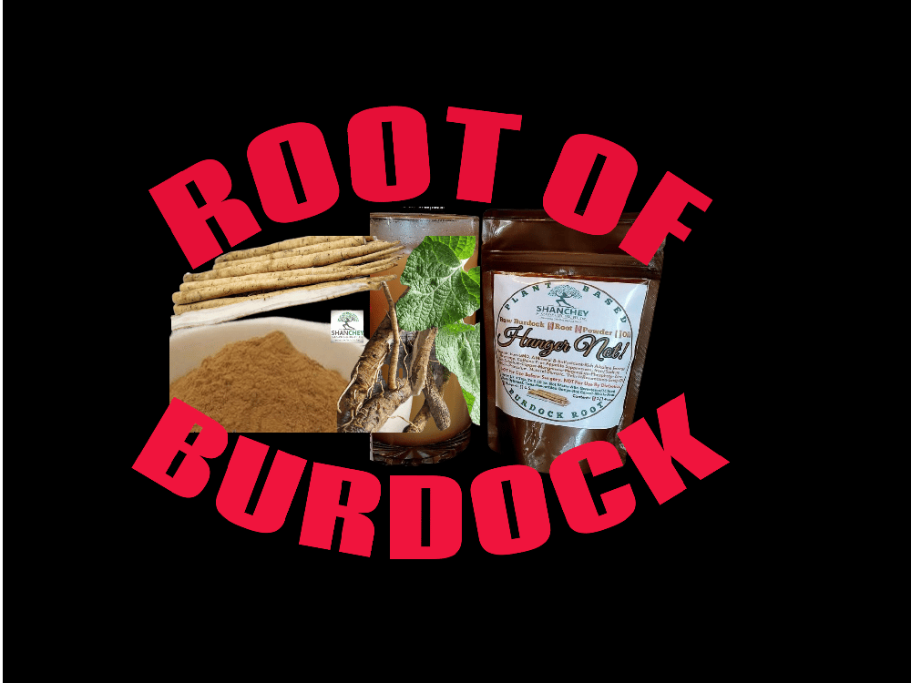 HUNGER NOT! Bulgarian Burdock Root-Hormone Balance-Purifier-Appetite Suppress-Lymphatic-UV-Herpes