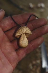 Image 2 of Penny Bun Mushroom 