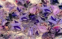 Image 1 of Bts whale mixed acrylic 2cm